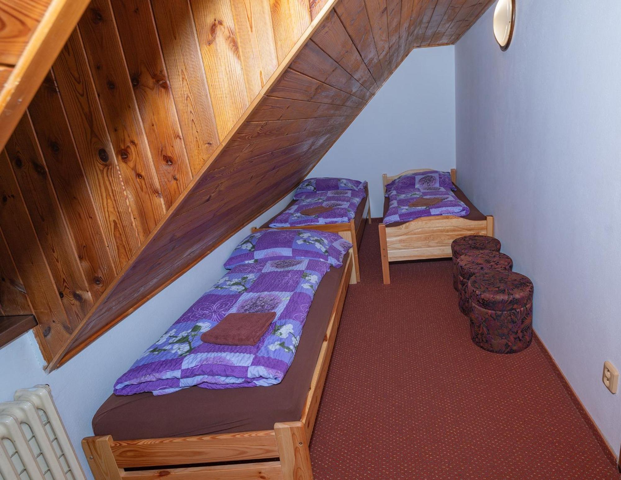 Penzion Harry Na Sjezdovce Krkonose Vysoke nad Jizerou Exterior photo