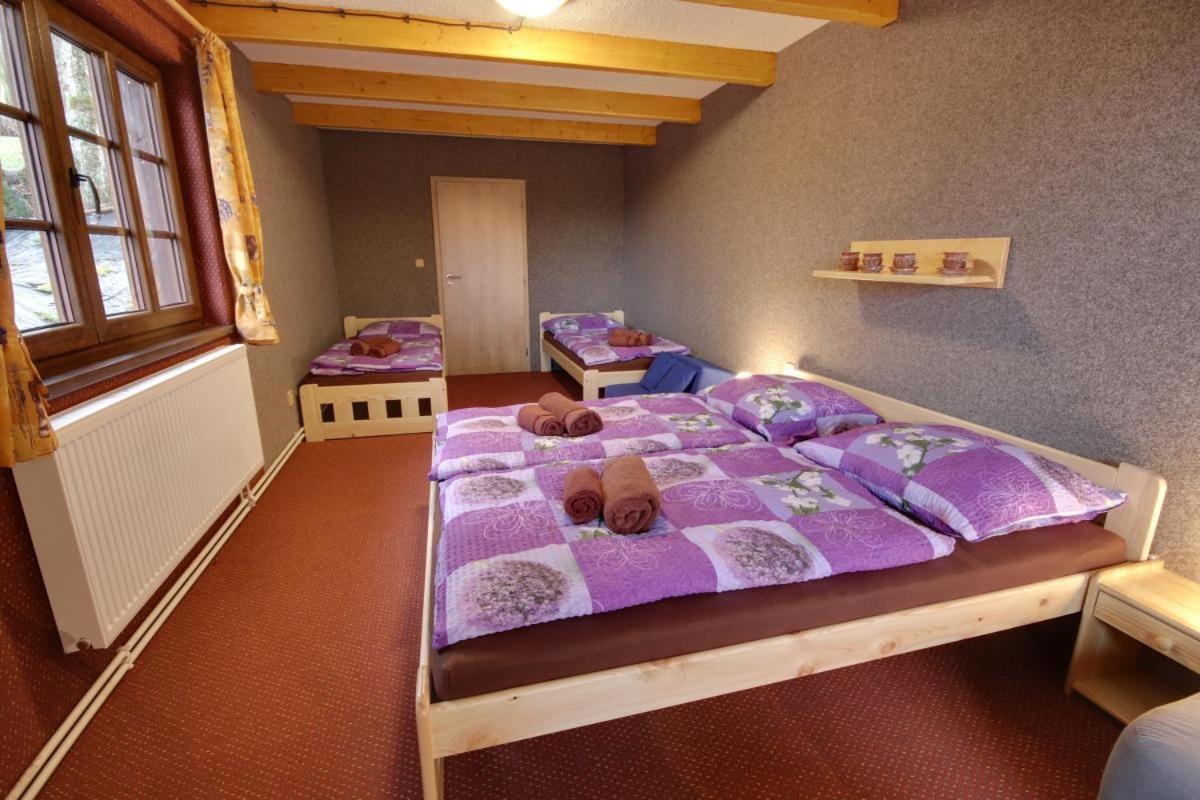 Penzion Harry Na Sjezdovce Krkonose Vysoke nad Jizerou Exterior photo